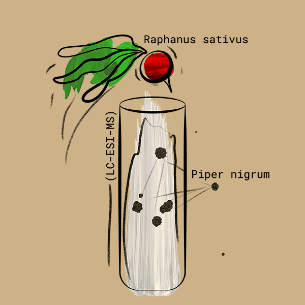 Odd Ball cocktail illustration