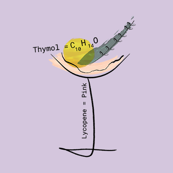 Sicilian Grapefruit cocktail illustration