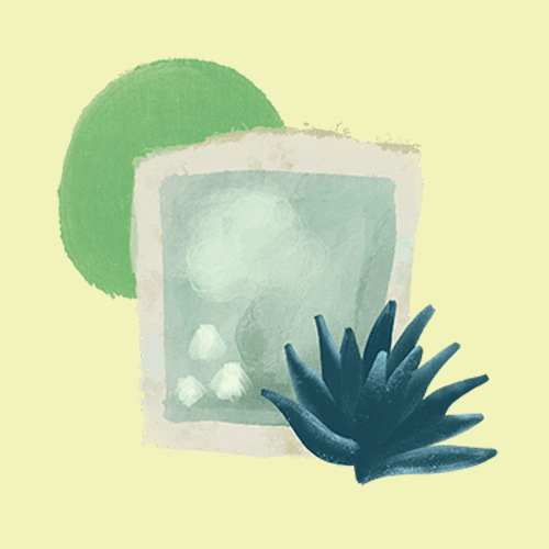 Margarita cocktail illustration